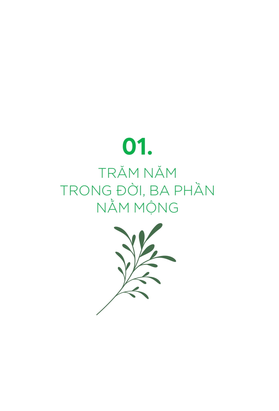 tôi tỉnh thức - sống cuộc đời ý nghĩa với trái tim rung động và lòng biết ơn