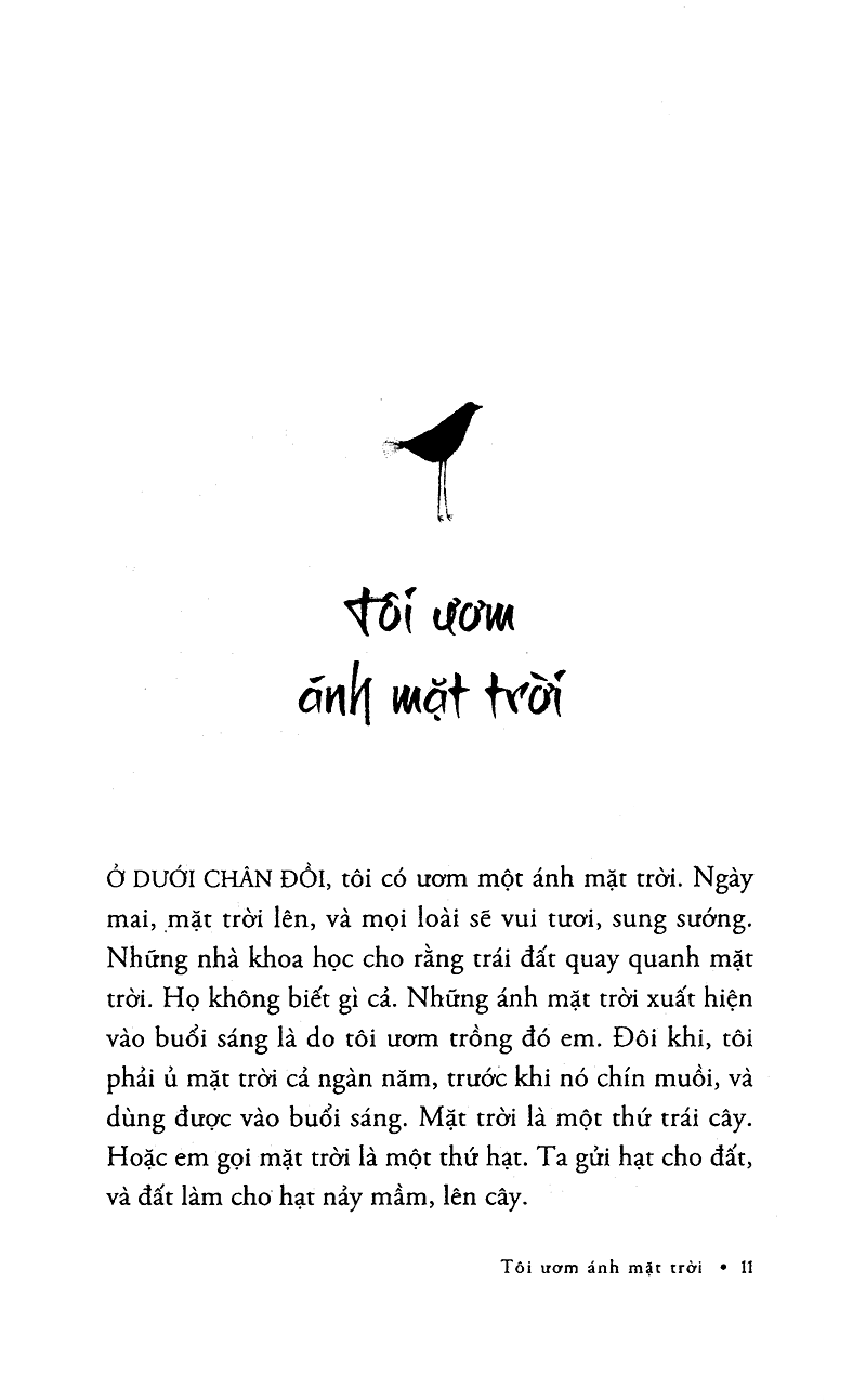 tôi ươm ánh mặt trời