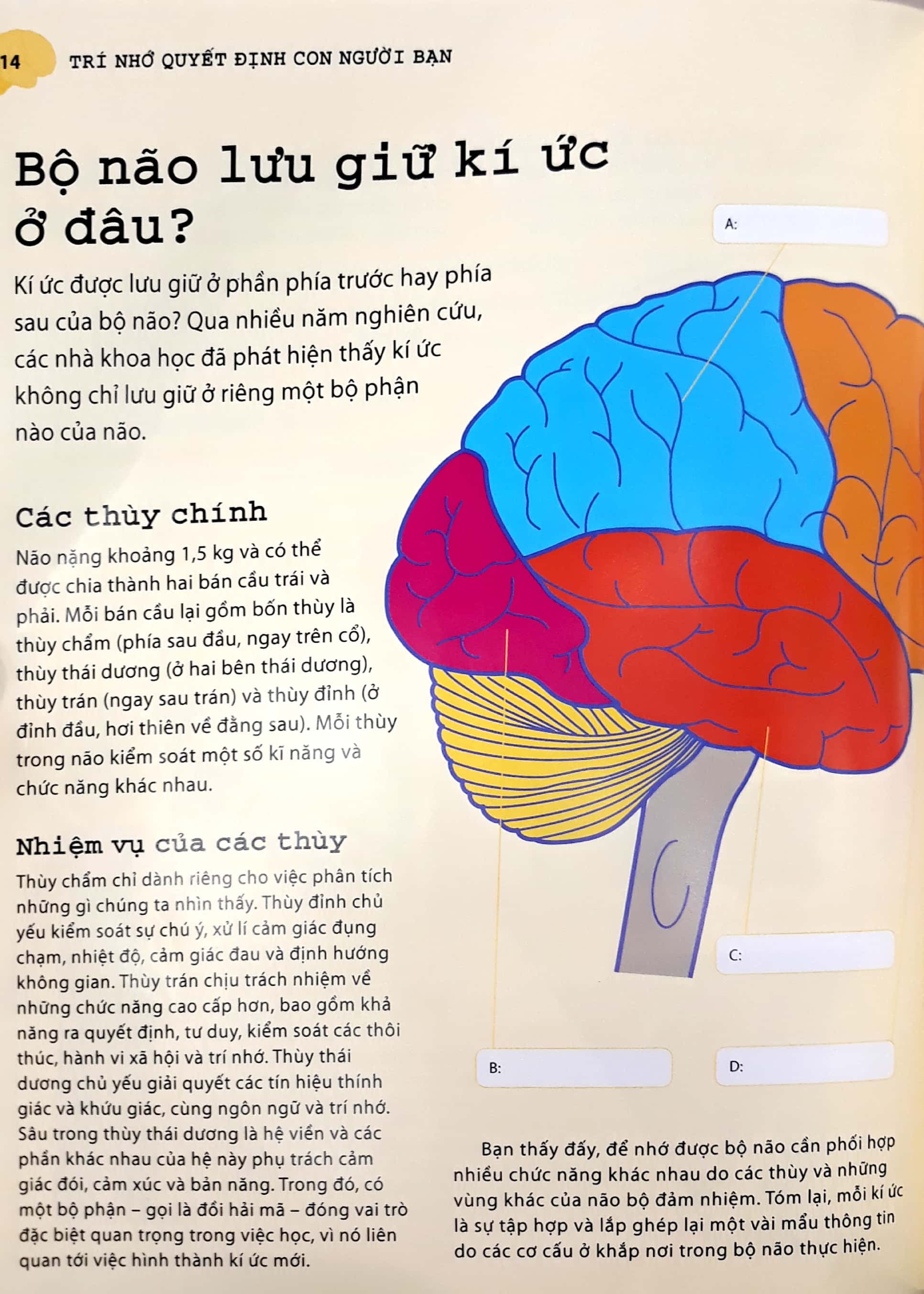 tối ưu hóa trí nhớ bằng phương pháp hình ảnh