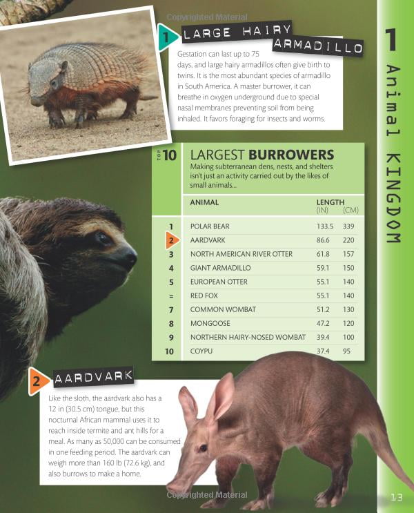 top 10 of everything 2018