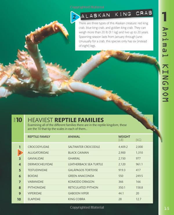 top 10 of everything 2018