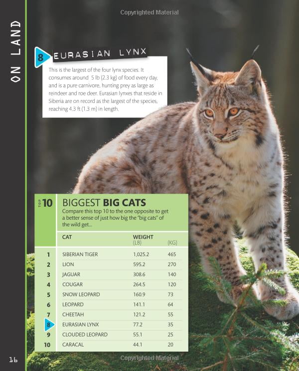 top 10 of everything 2018