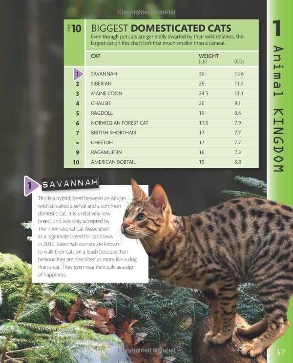 top 10 of everything 2018