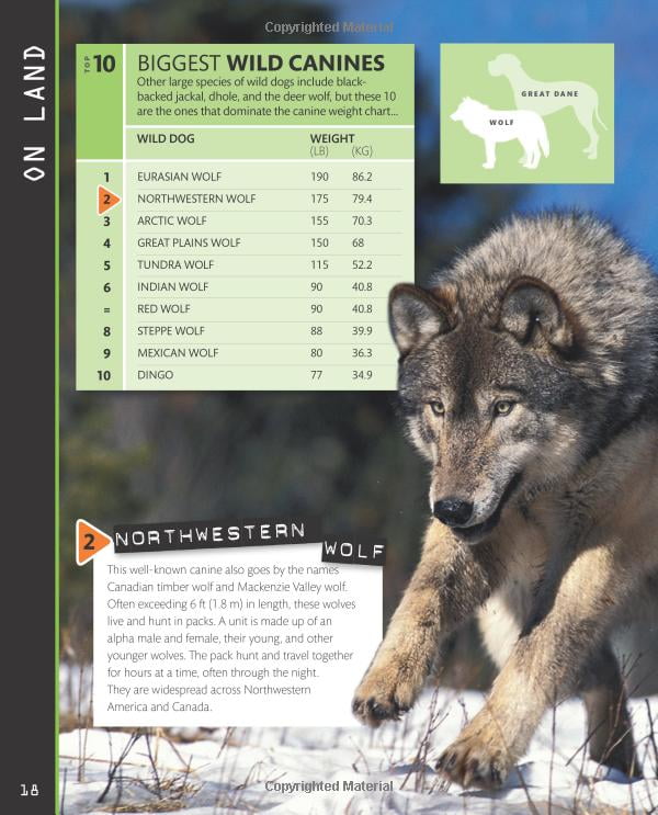 top 10 of everything 2018