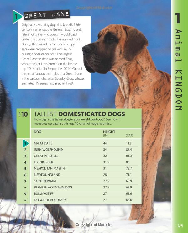 top 10 of everything 2018