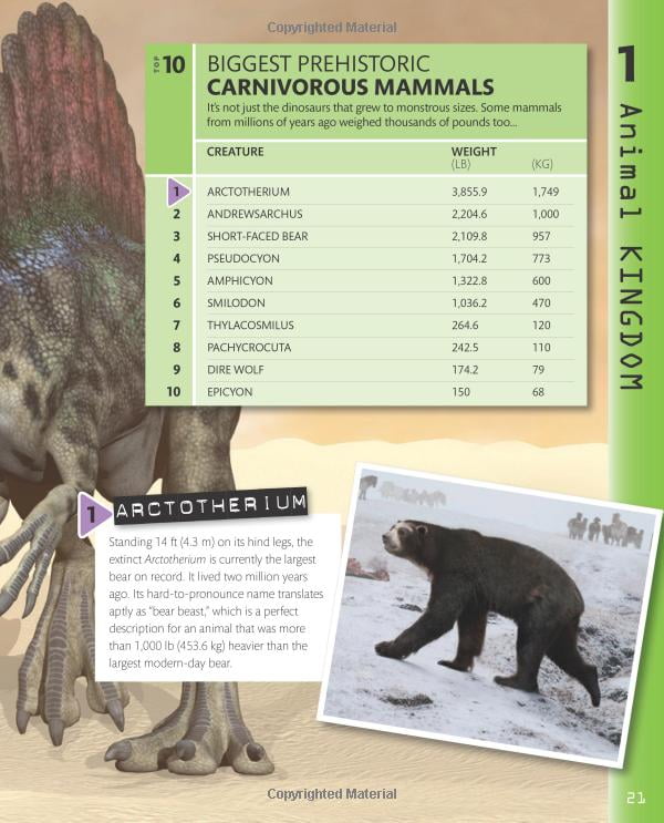 top 10 of everything 2018