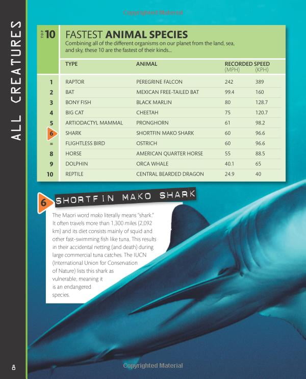 top 10 of everything 2018