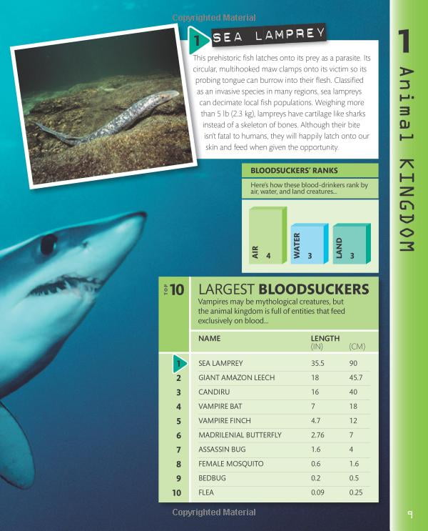 top 10 of everything 2018