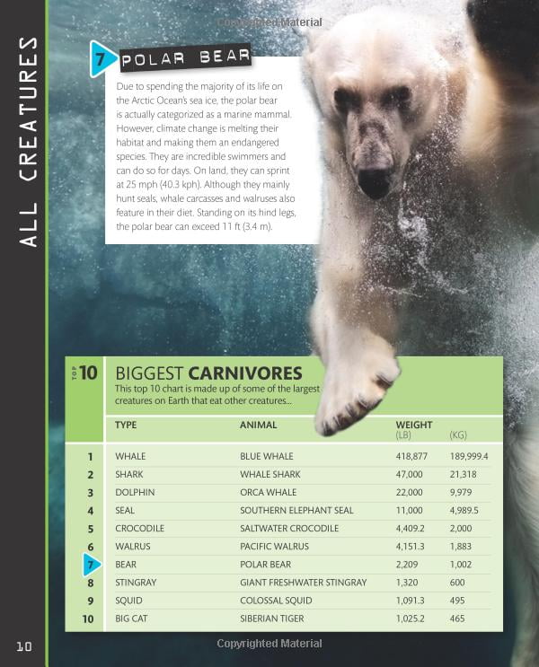 top 10 of everything 2018