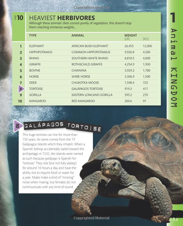 top 10 of everything 2018