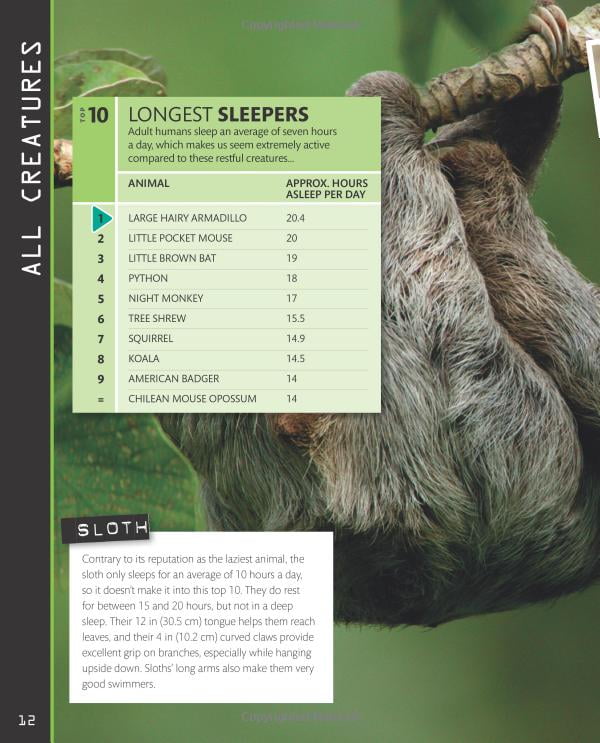 top 10 of everything 2018