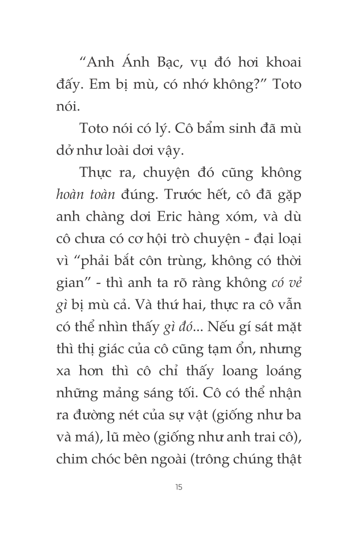 toto - cô mèo ninja