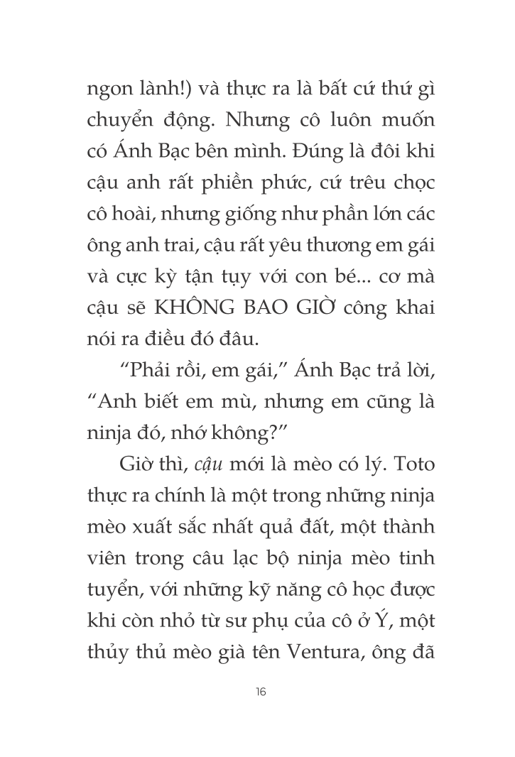 toto - cô mèo ninja