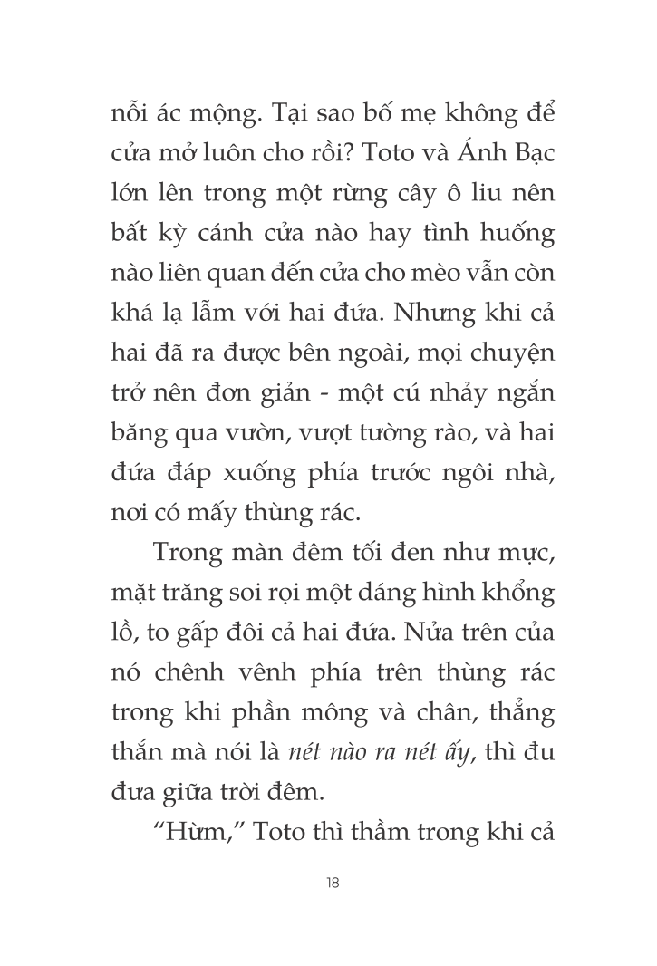 toto - cô mèo ninja