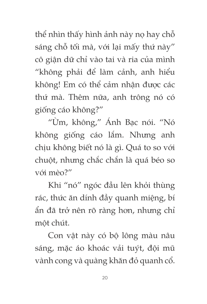 toto - cô mèo ninja