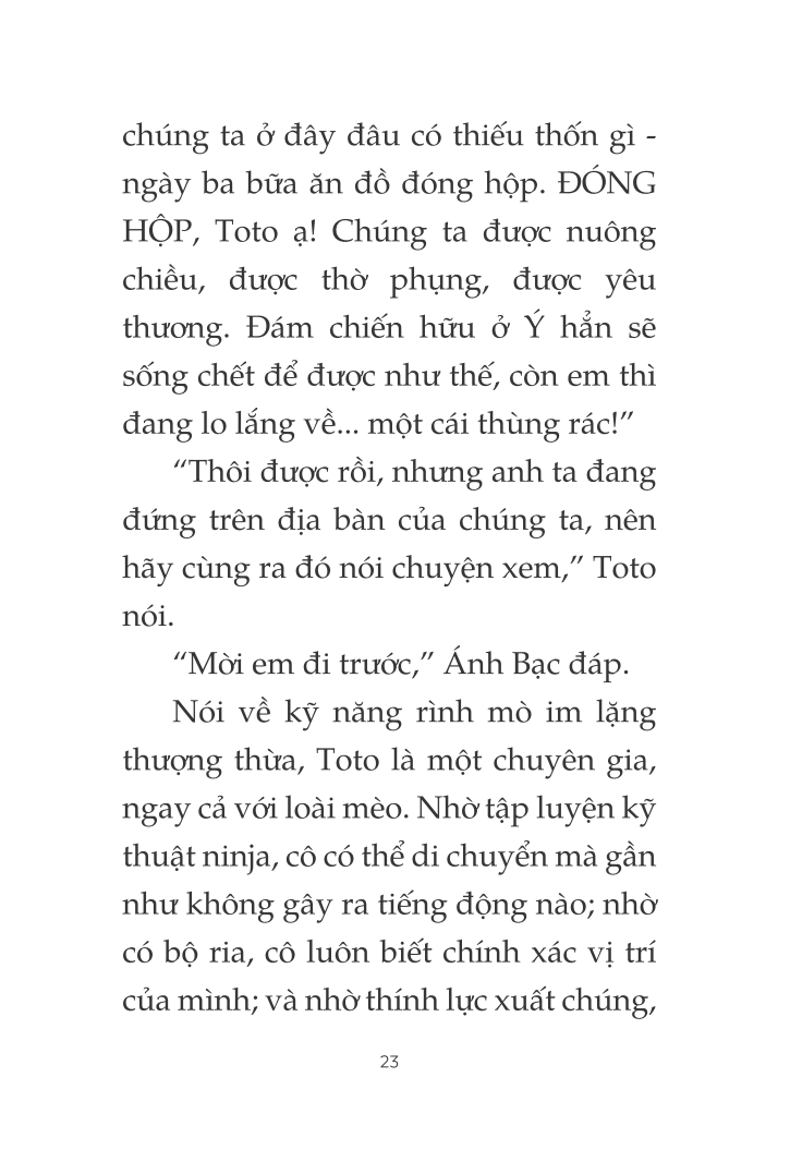 toto - cô mèo ninja