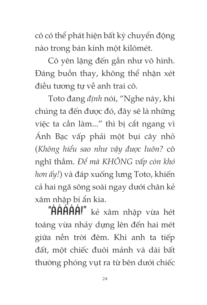 toto - cô mèo ninja