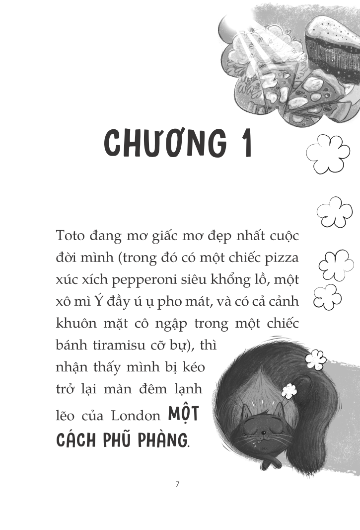 toto - cô mèo ninja