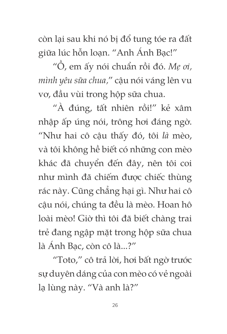 toto - cô mèo ninja