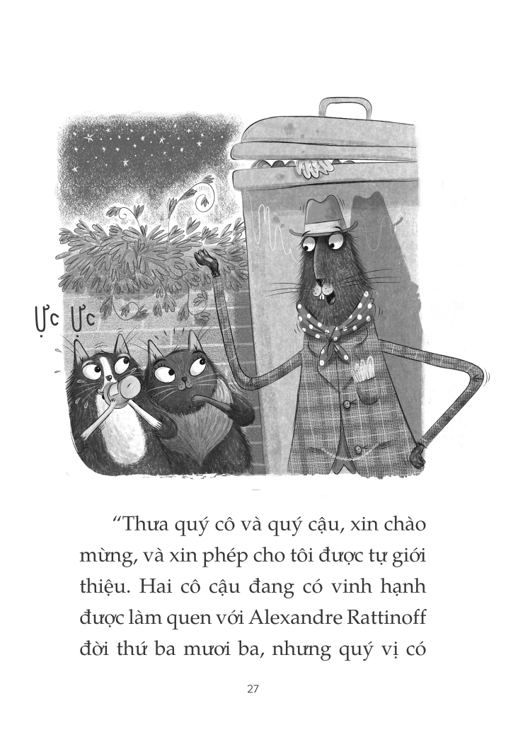 toto - cô mèo ninja