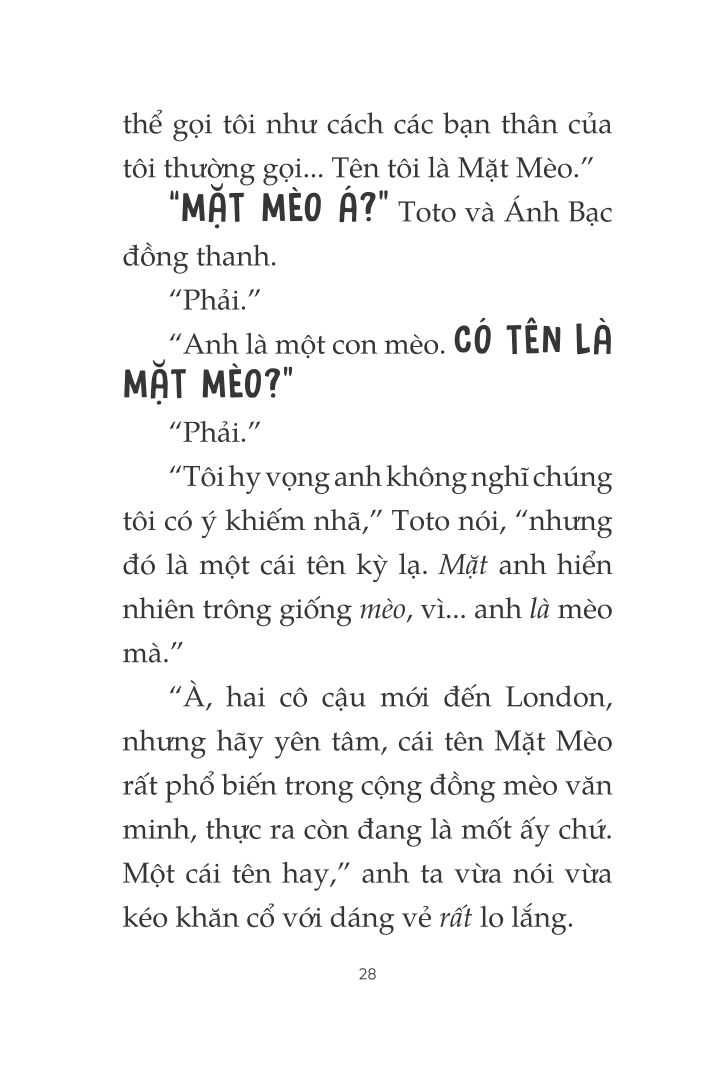 toto - cô mèo ninja