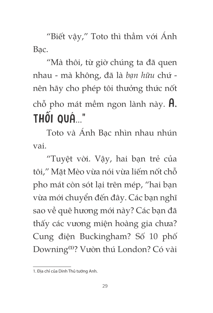 toto - cô mèo ninja