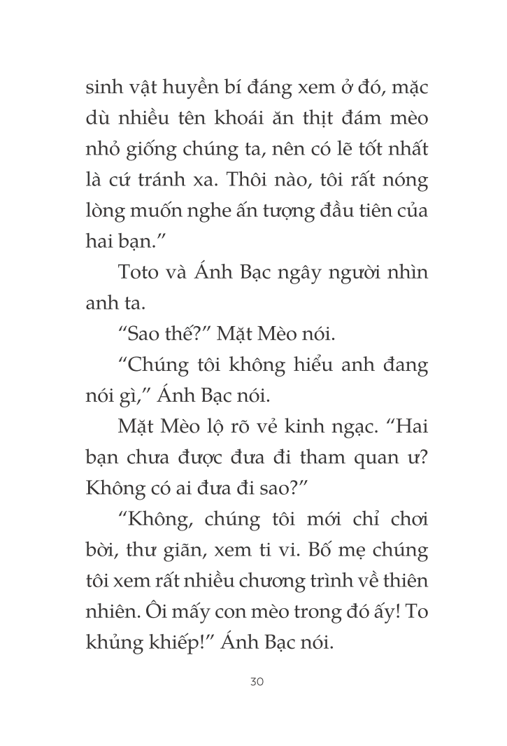 toto - cô mèo ninja