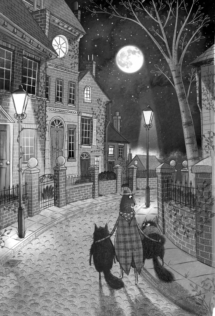 toto - cô mèo ninja