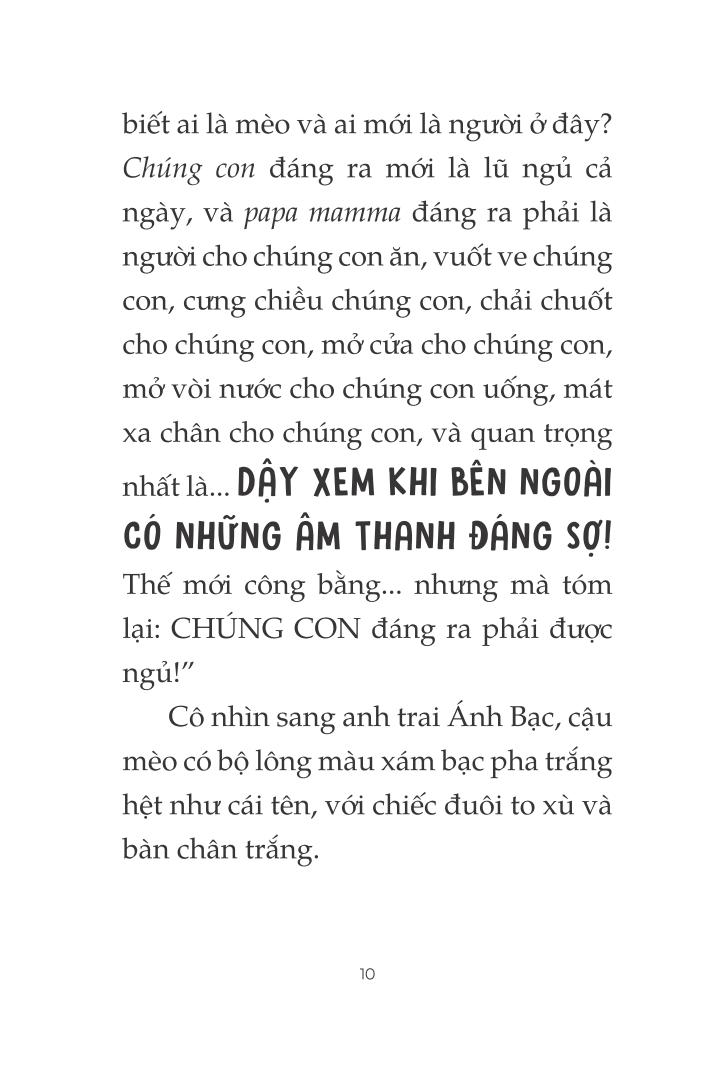 toto - cô mèo ninja