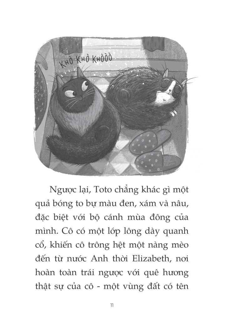 toto - cô mèo ninja