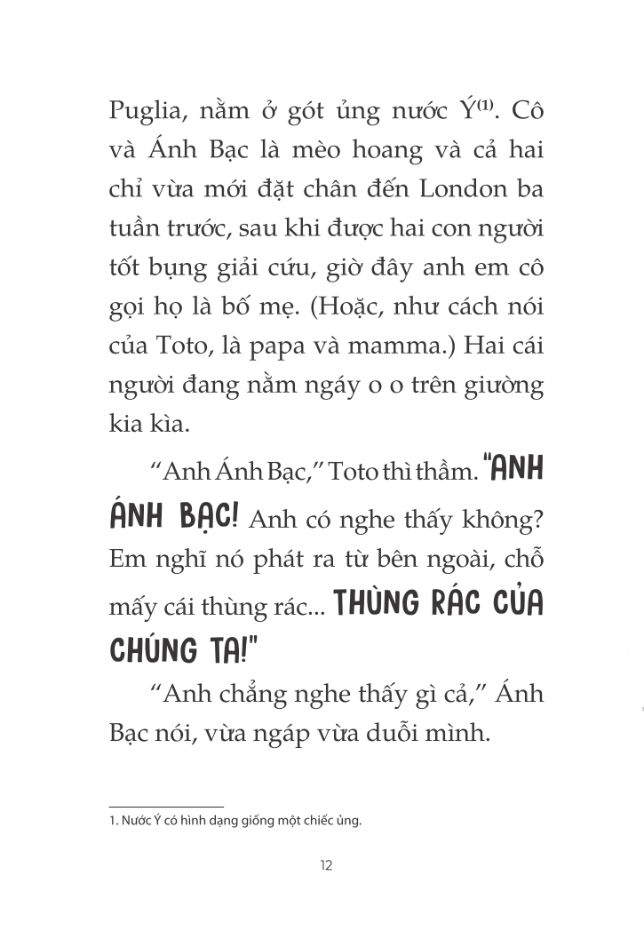 toto - cô mèo ninja