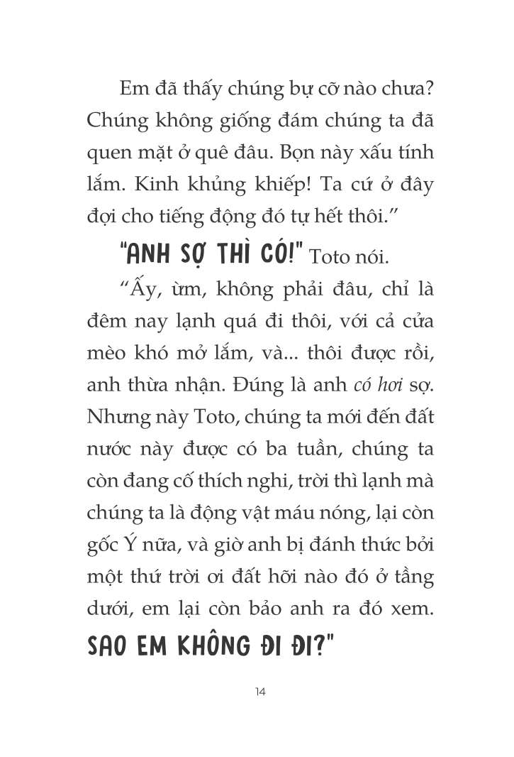 toto - cô mèo ninja