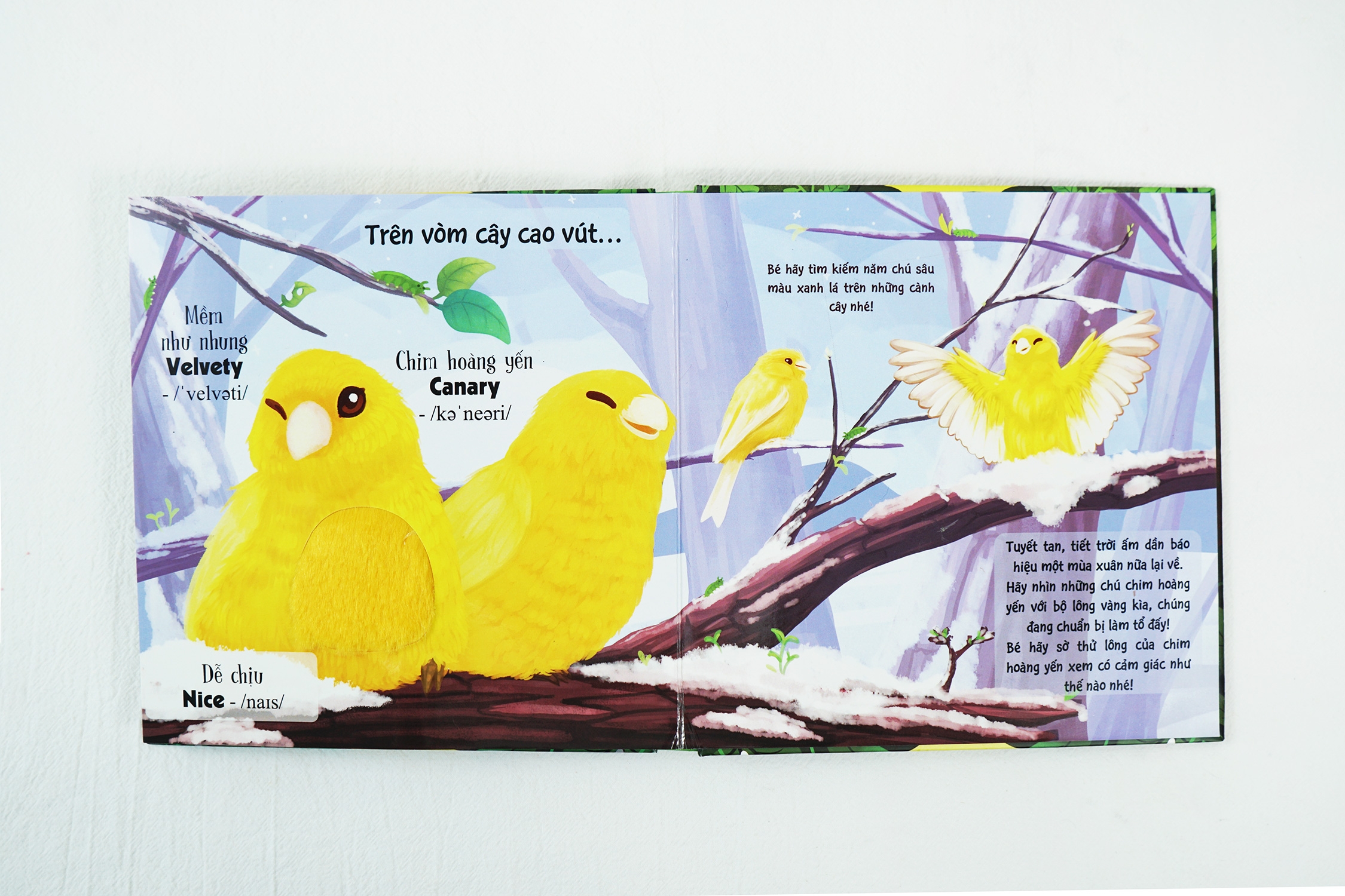 touch and feel - sách sờ chạm khám phá - thế giới động vật - bốn mùa tươi đẹp