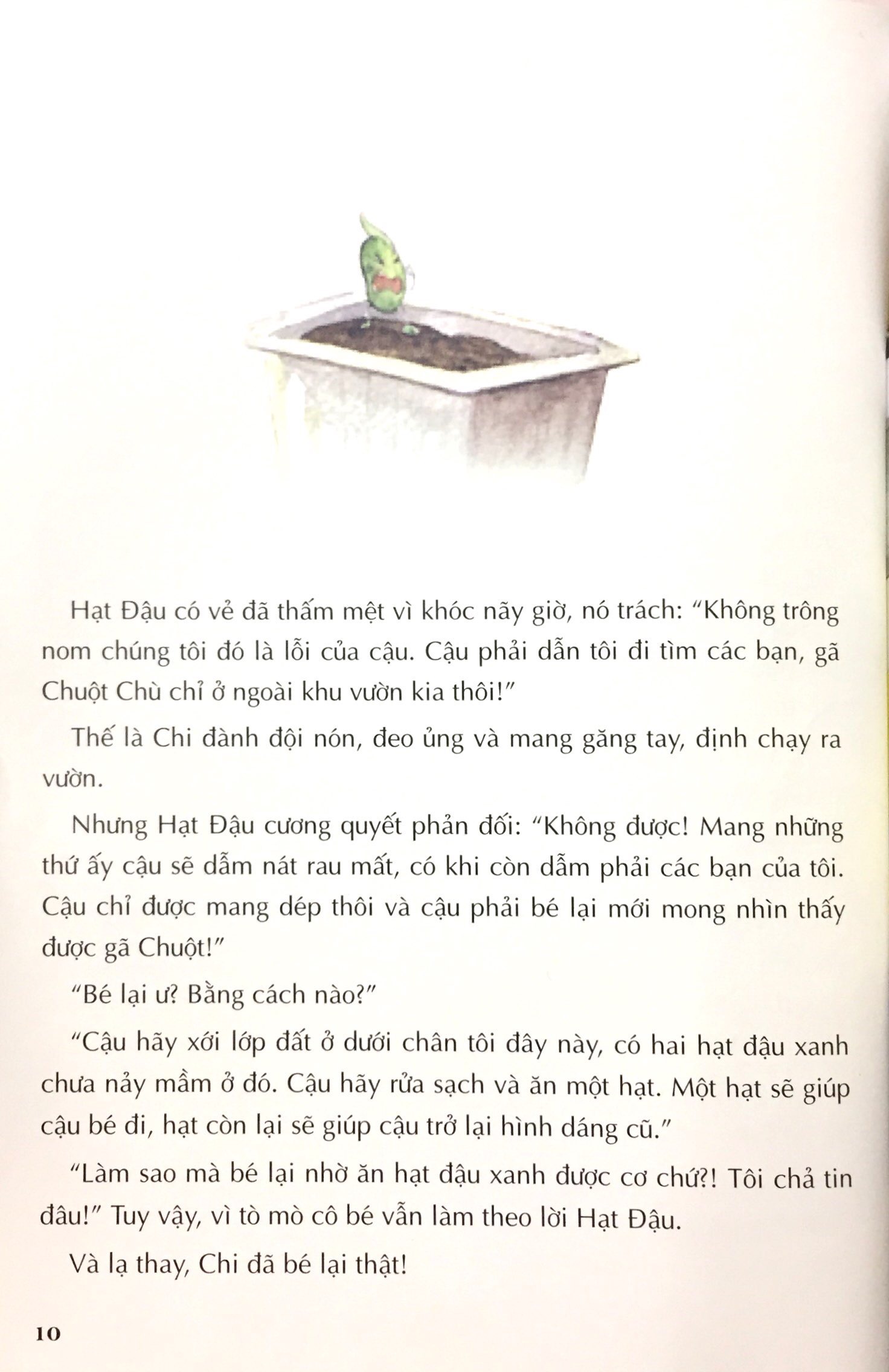 trái đất là một vòng tròn