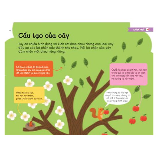 trái đất xinh đẹp có gì - một thế giới đầy cây