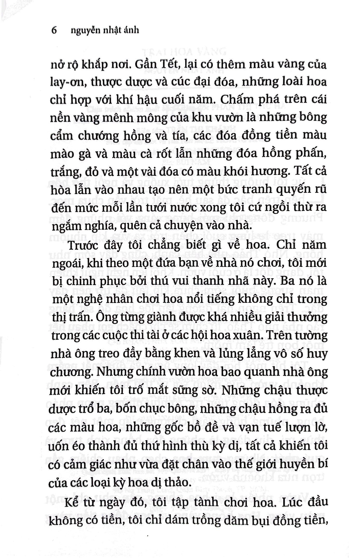 trại hoa vàng (tái bản 2022)