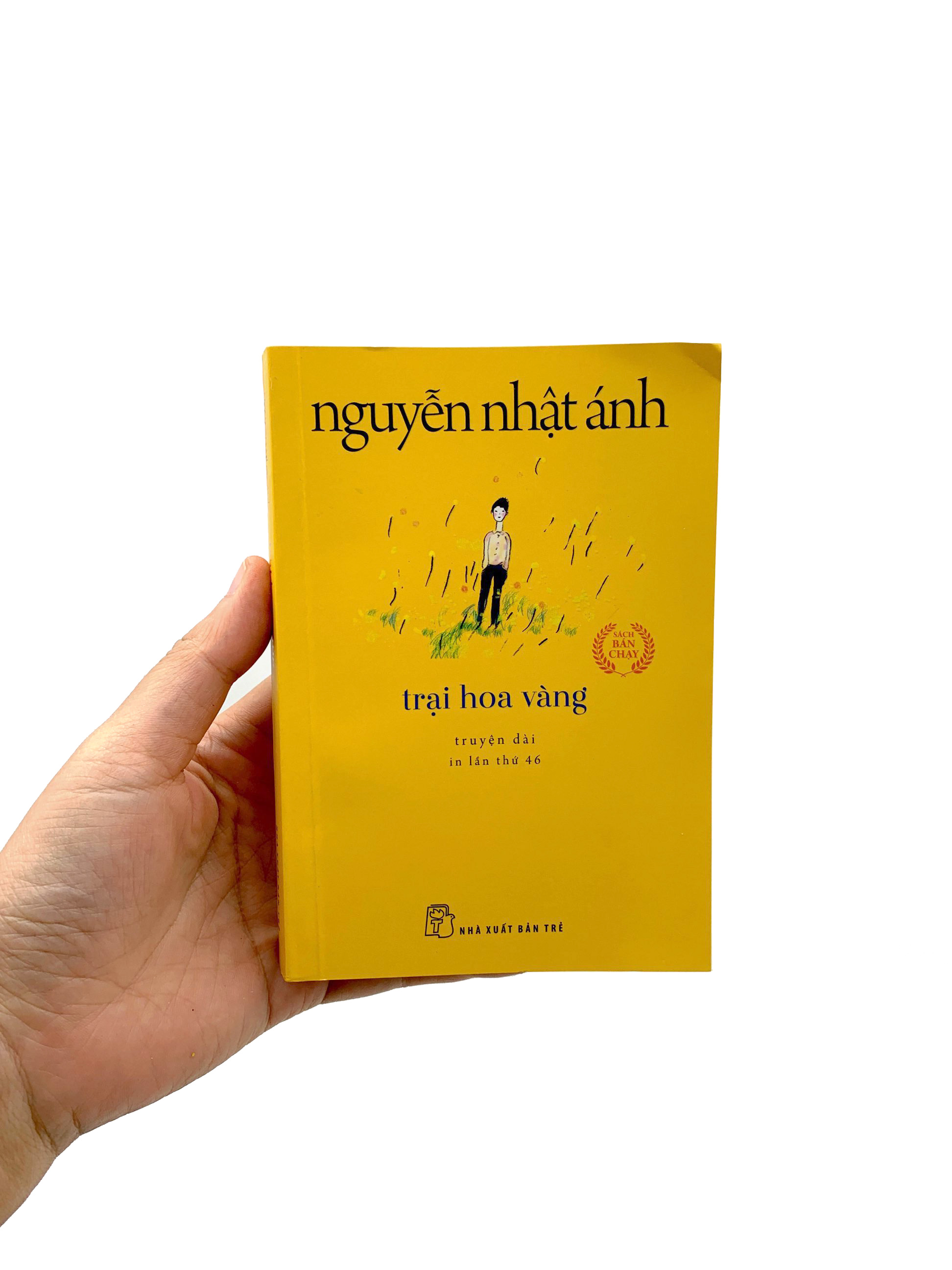 trại hoa vàng (tái bản 2022)