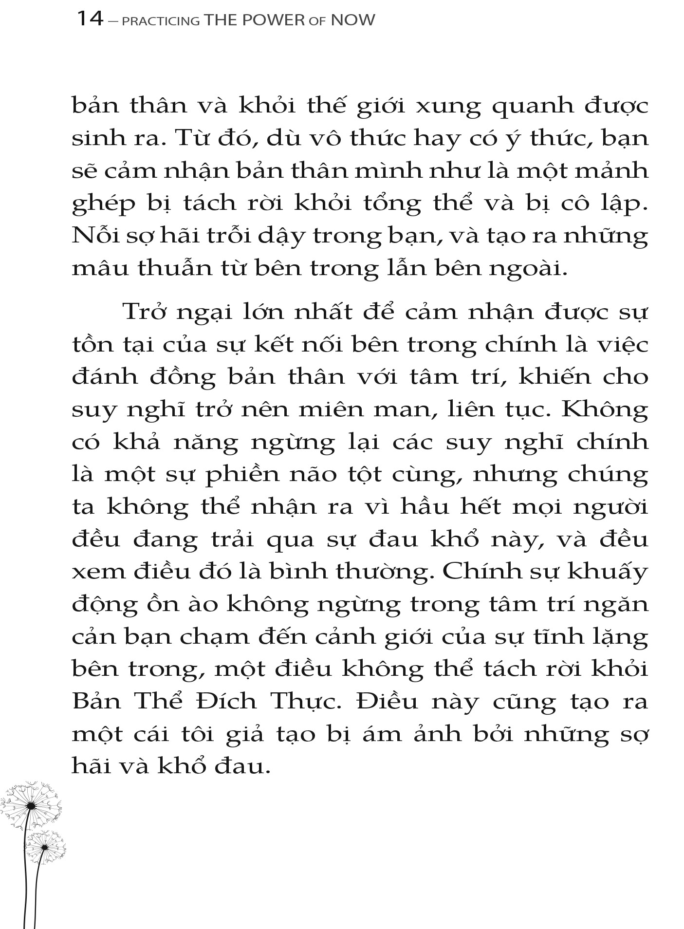 trải nghiệm sức mạnh hiện tại