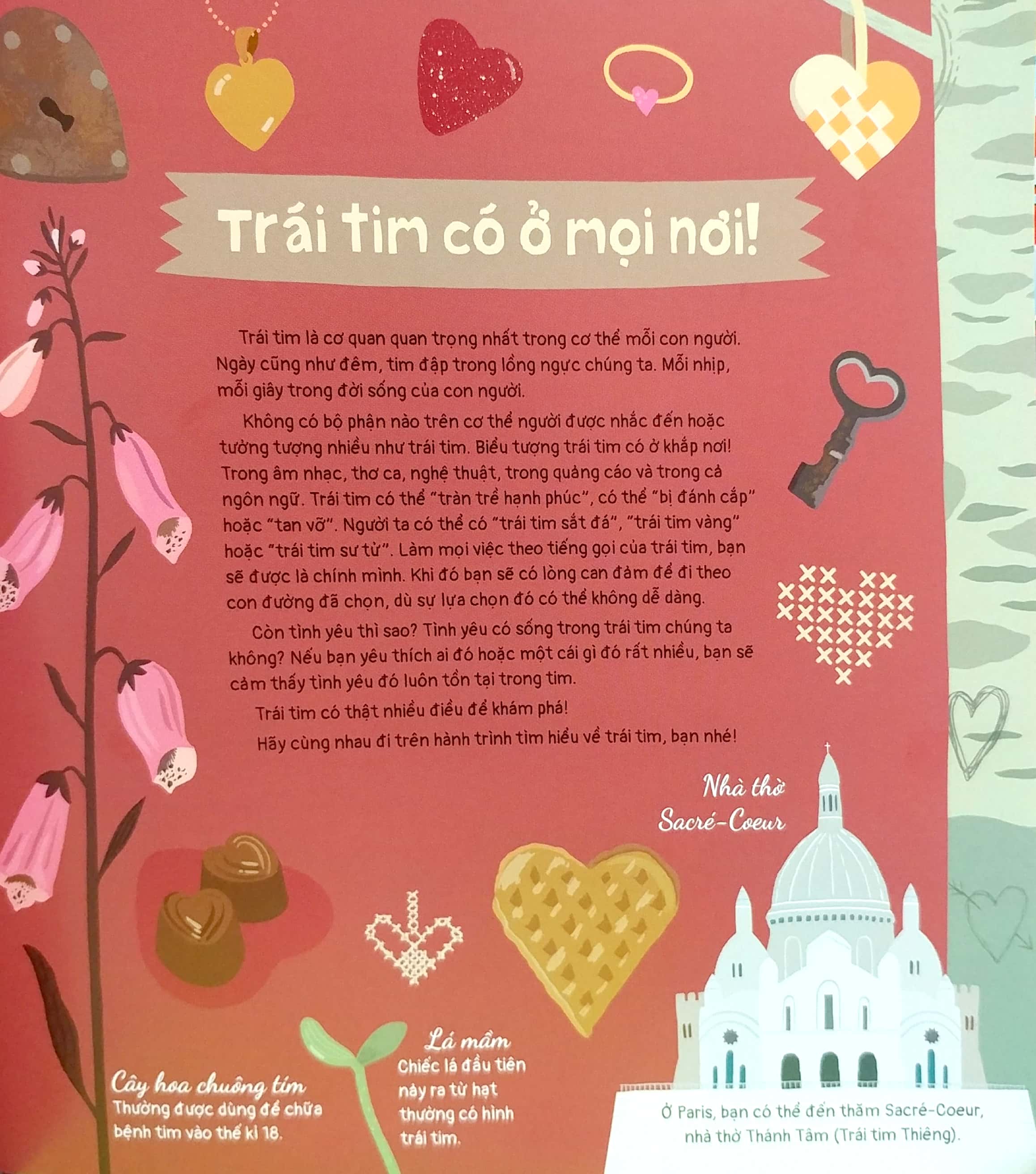 trái tim và hơn thế nữa - dưới góc nhìn sinh học và văn hóa, kèm theo các trò chơi và thực hành thú vị