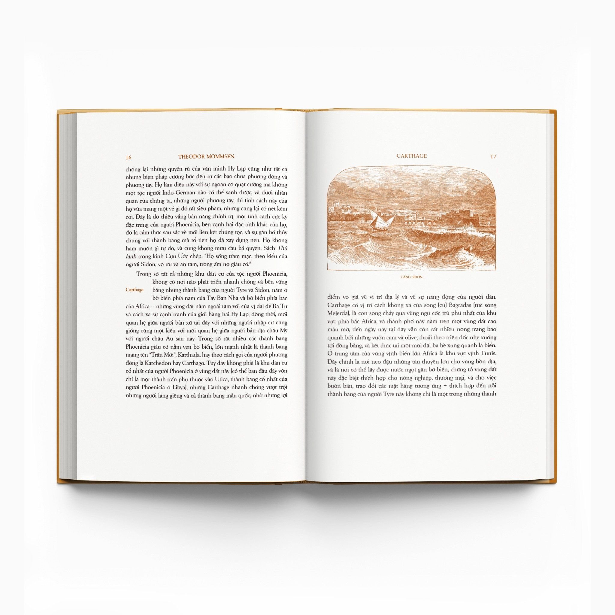 trăm năm nobel - lịch sử la mã - tập ii - quyển iii - ấn bản giới hạn - bìa cứng