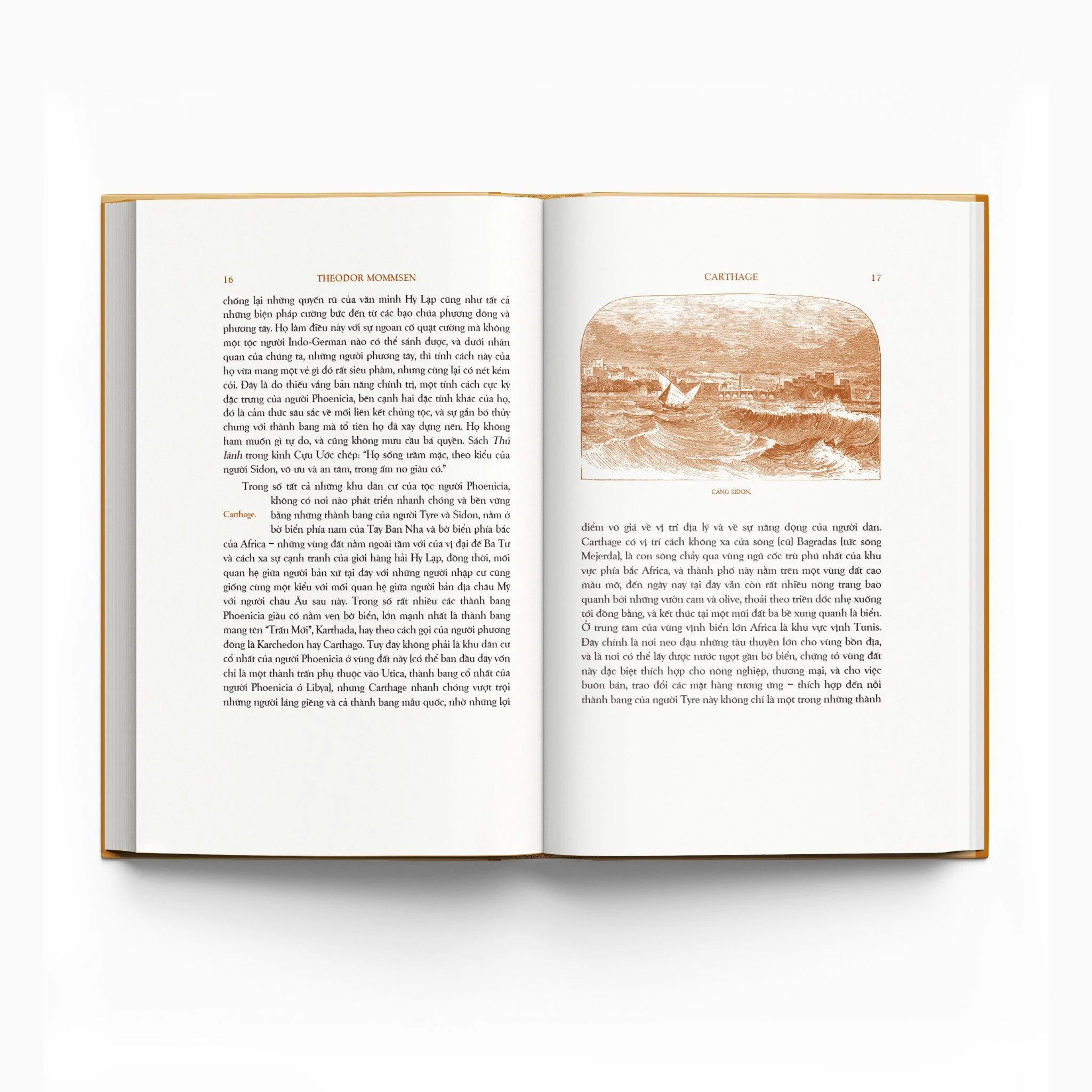 trăm năm nobel - lịch sử la mã - tập ii - quyển iii - ấn bản giới hạn - bìa cứng