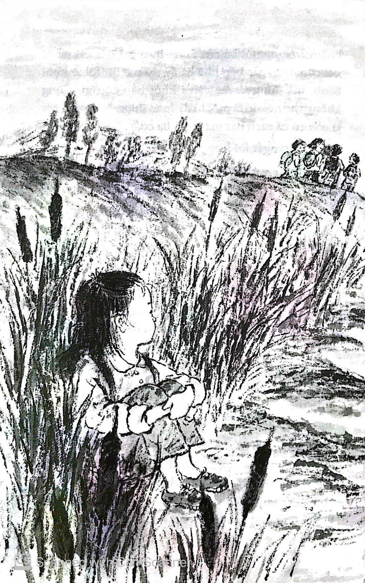 trăng có biết không