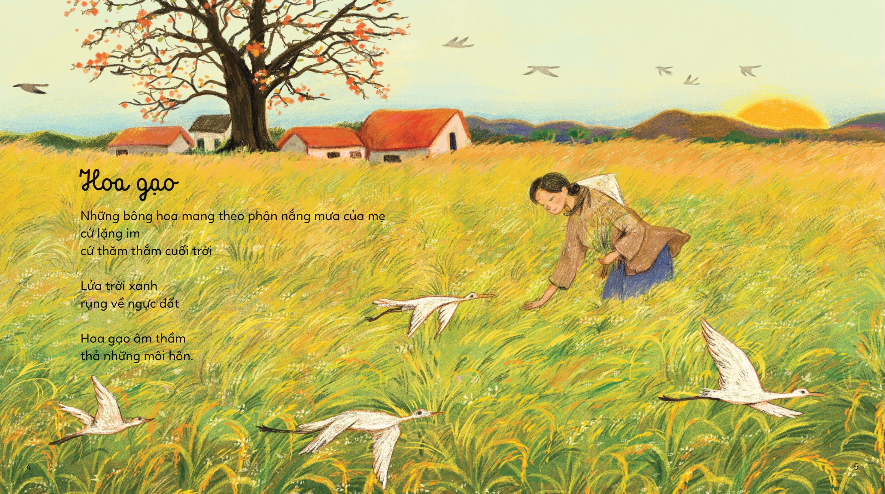 trắng mây tóc mẹ