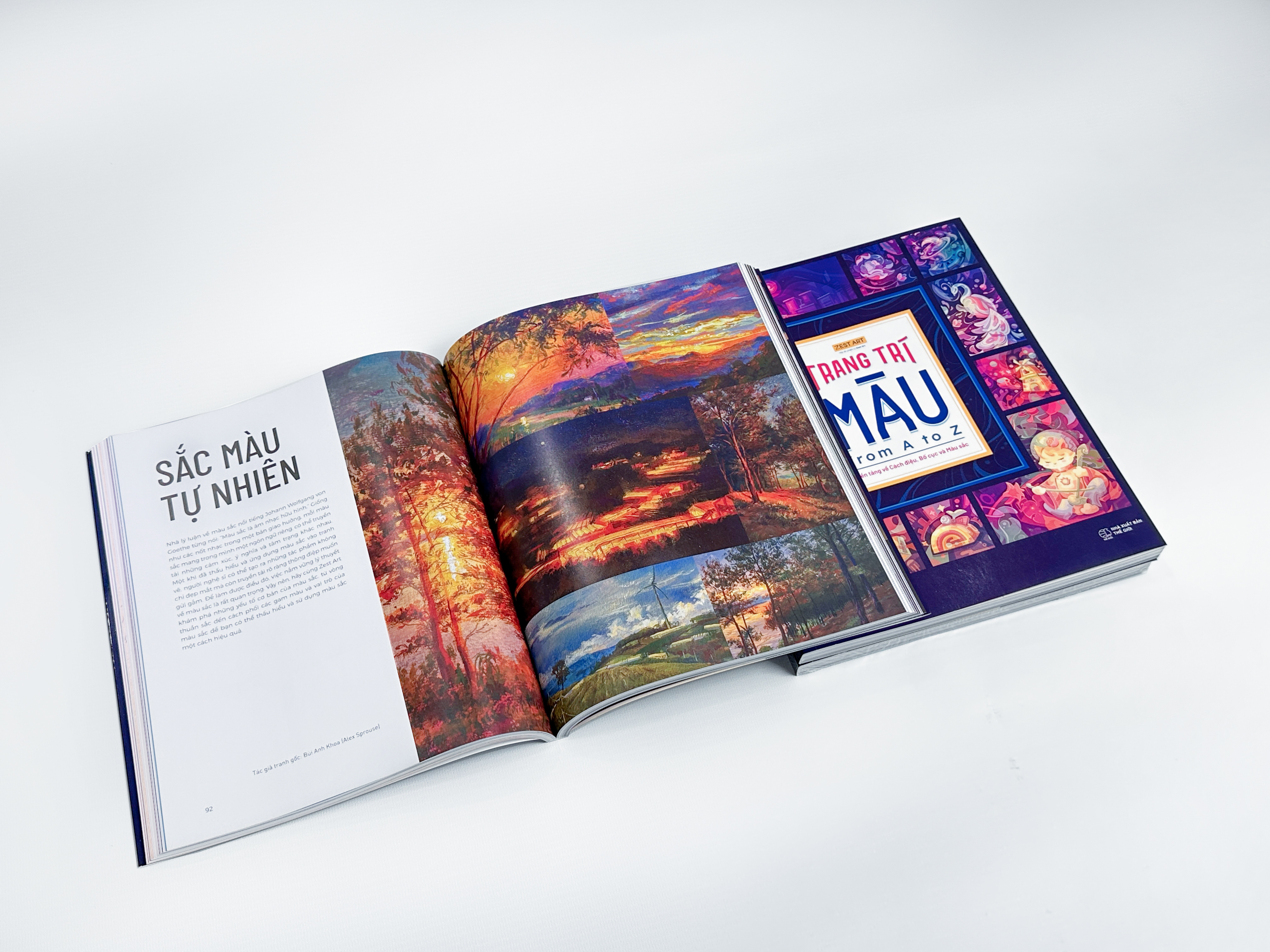 trang trí màu from a to z - nền tảng về cách điệu, bố cục và màu sắc