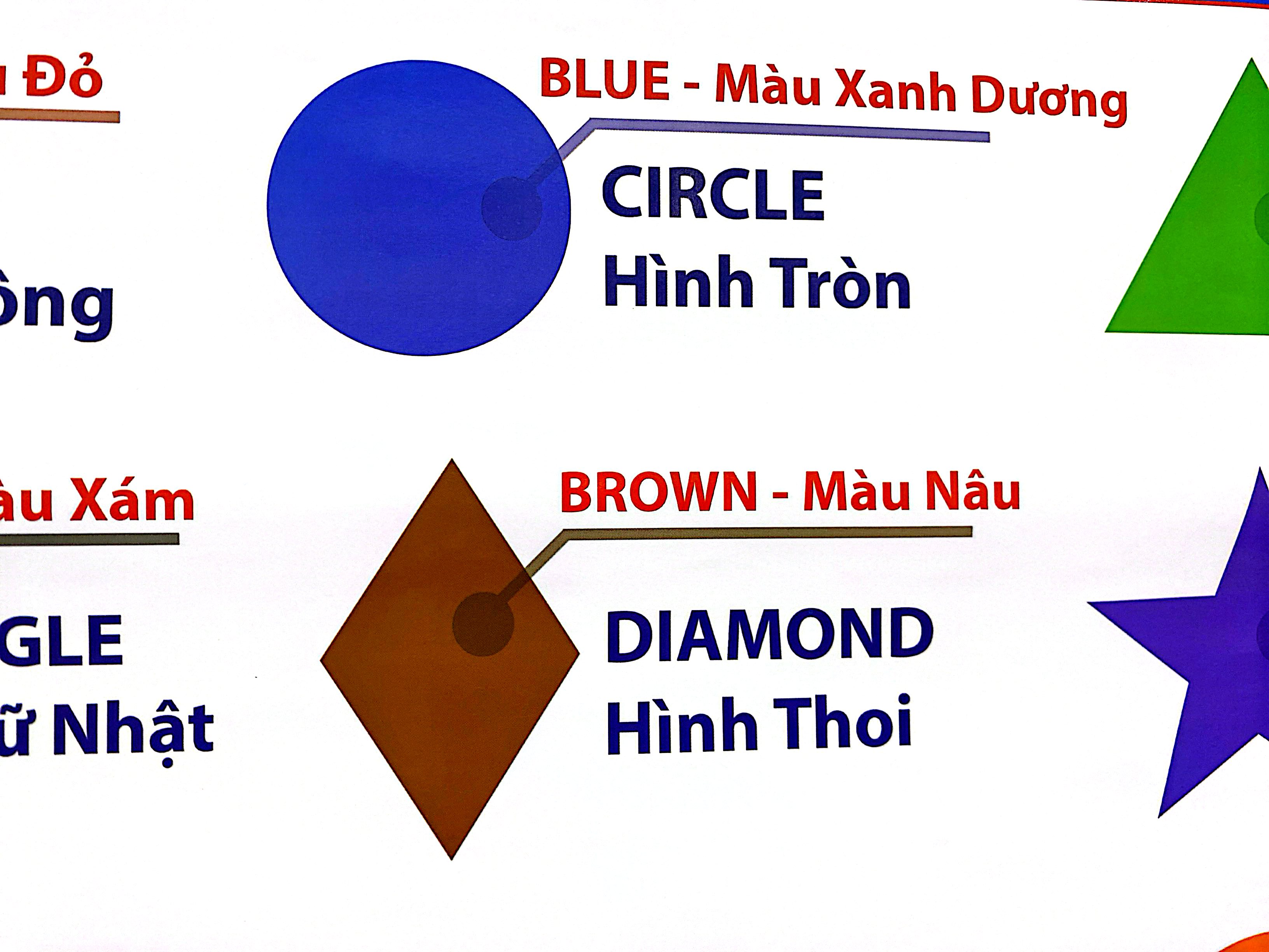 Tranh Màu Sắc Và Hình Dạng