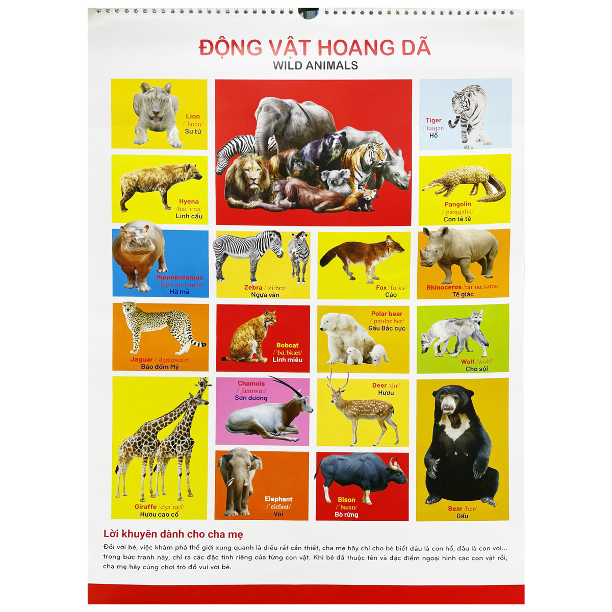 tranh treo tường cho bé (dành cho bé từ 2 đến 6 tuổi)