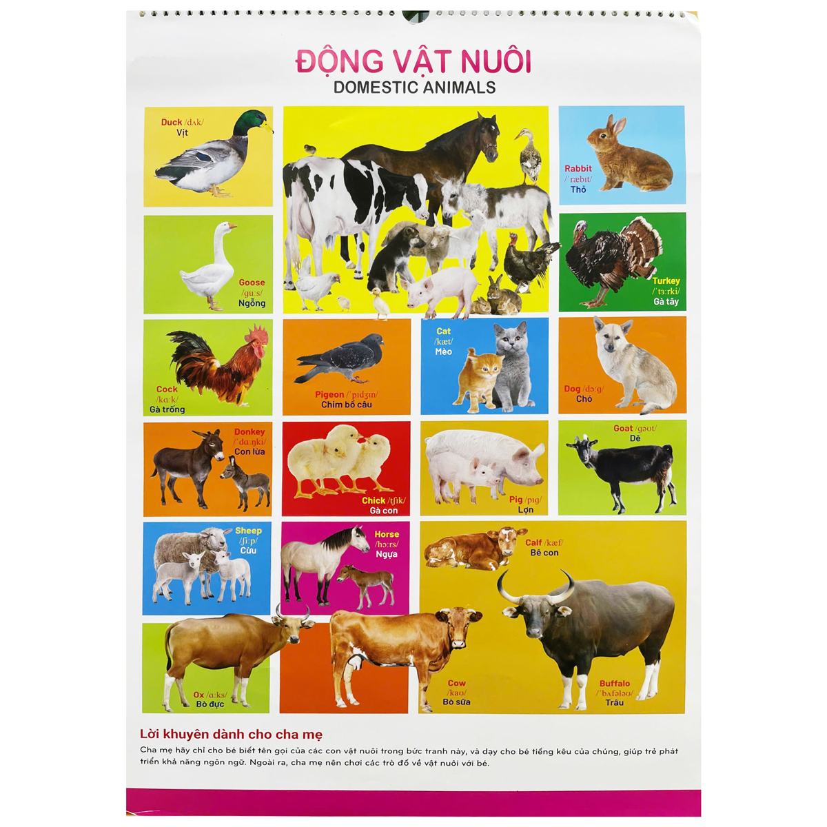 tranh treo tường cho bé (dành cho bé từ 2 đến 6 tuổi)