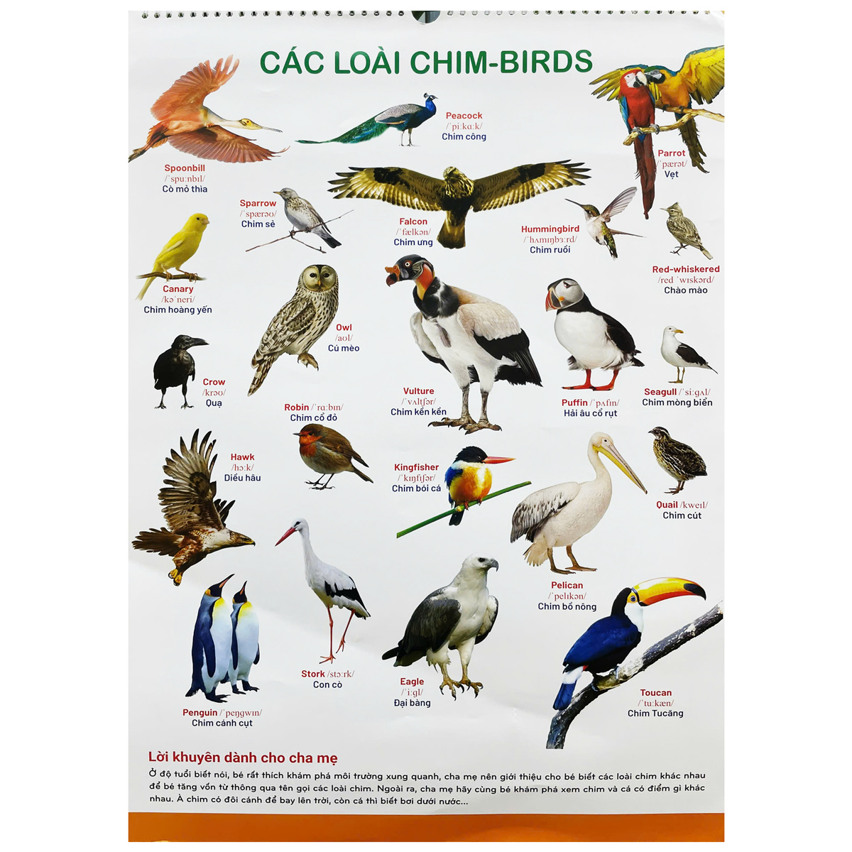 tranh treo tường cho bé (dành cho bé từ 2 đến 6 tuổi)