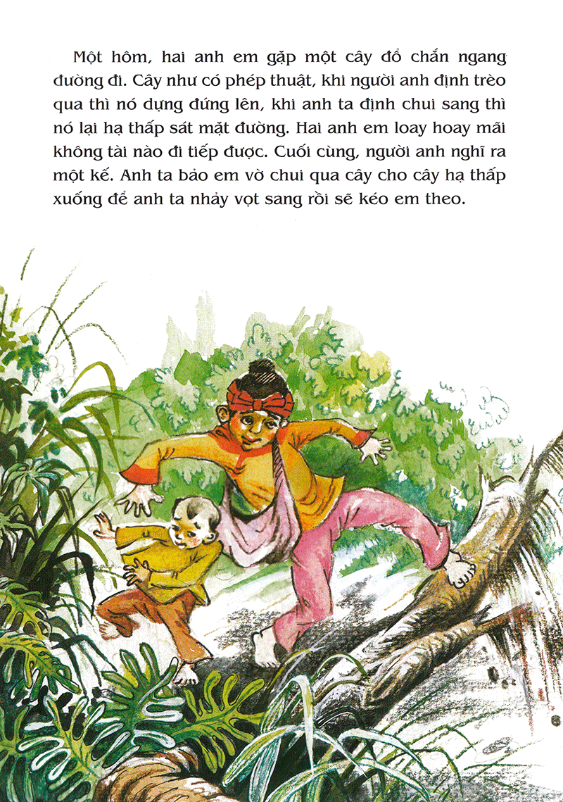 tranh truyện dân gian việt nam - hai anh em và cây thuốc thần (tái bản 2023)