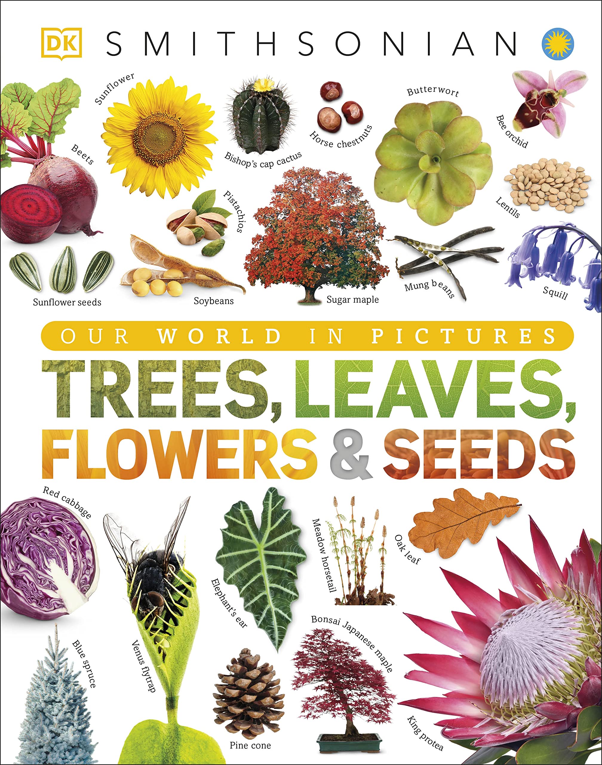 Trees, Leaves, Flowers And Seeds: A Visual Encyclopedia Of The Plant Kingdom